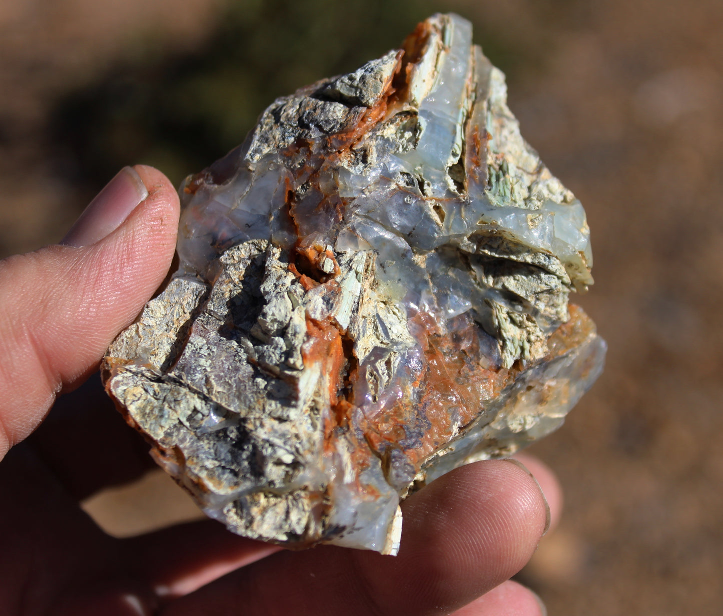 Mount Shasta Opal High Grade Specimen