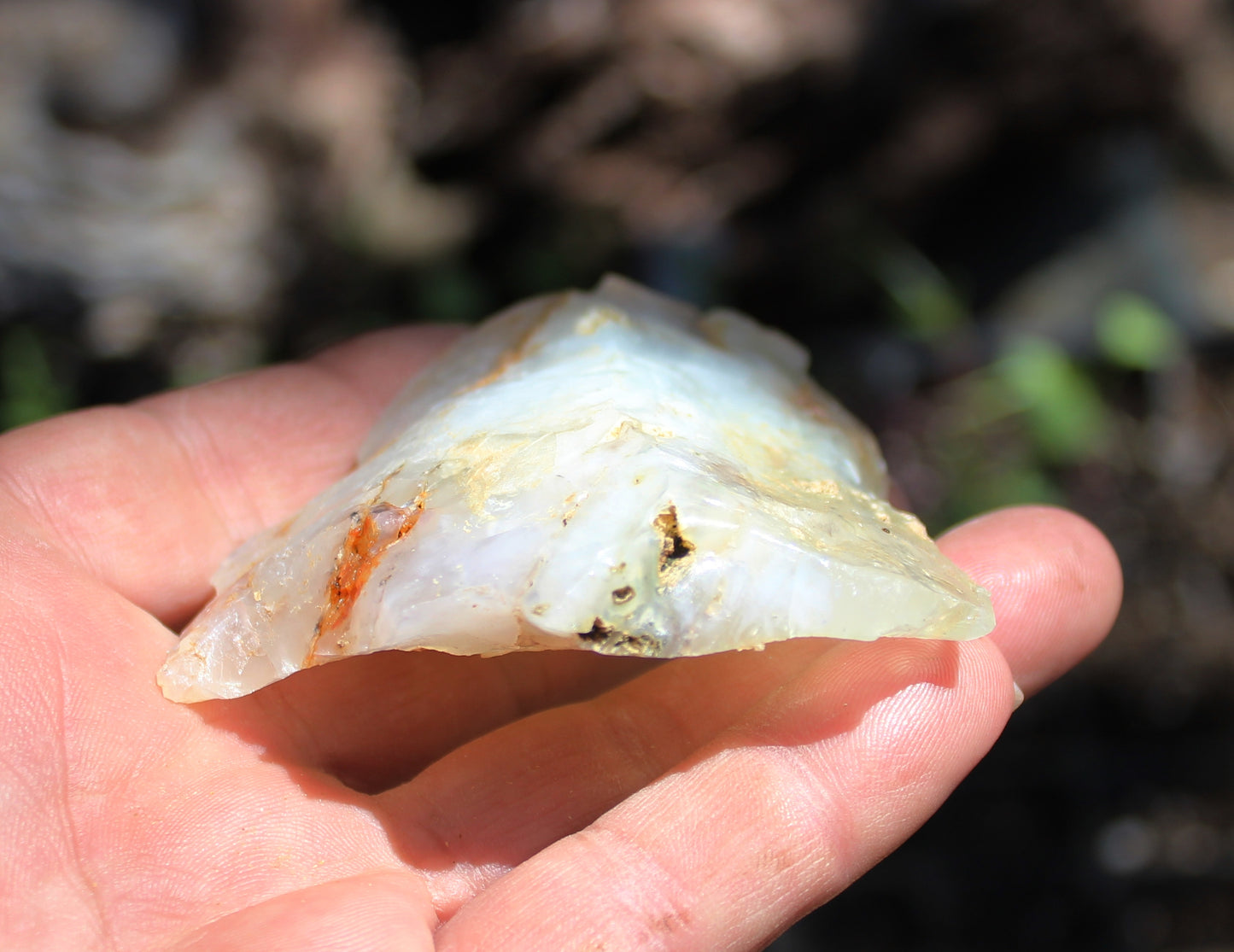 Mount Shasta Opal High Grade