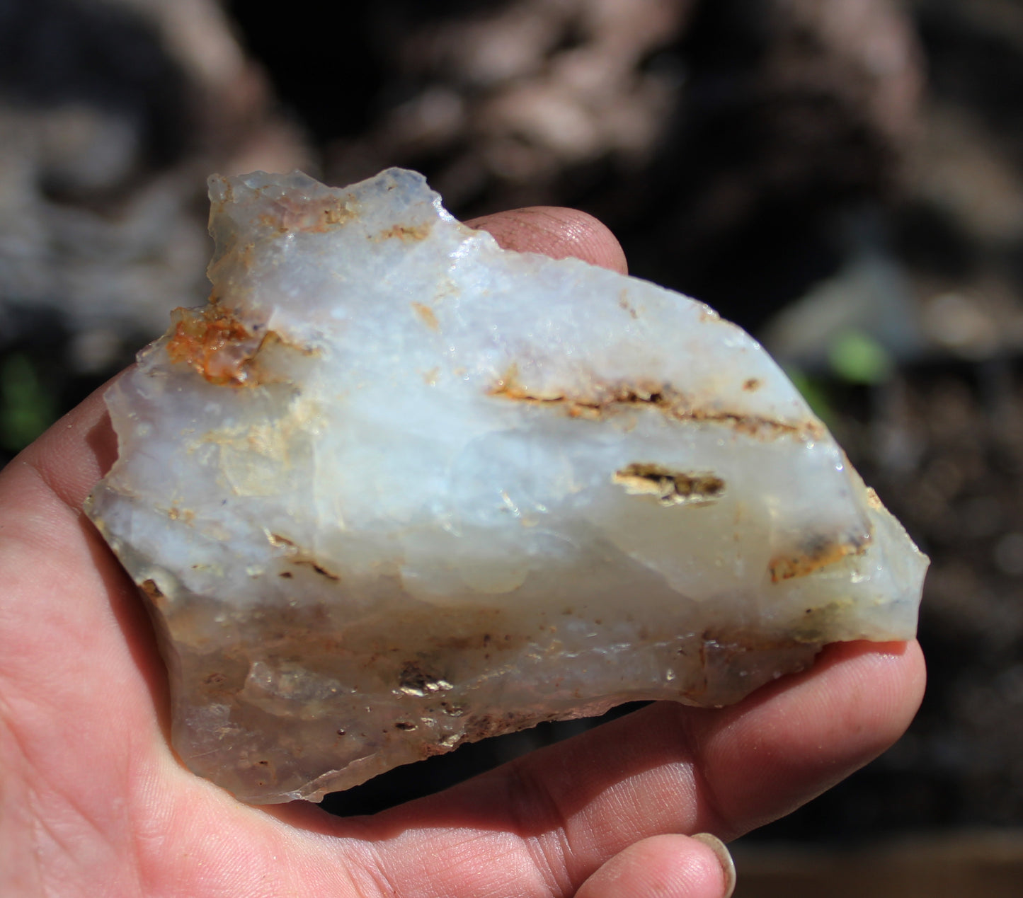 Mount Shasta Opal High Grade