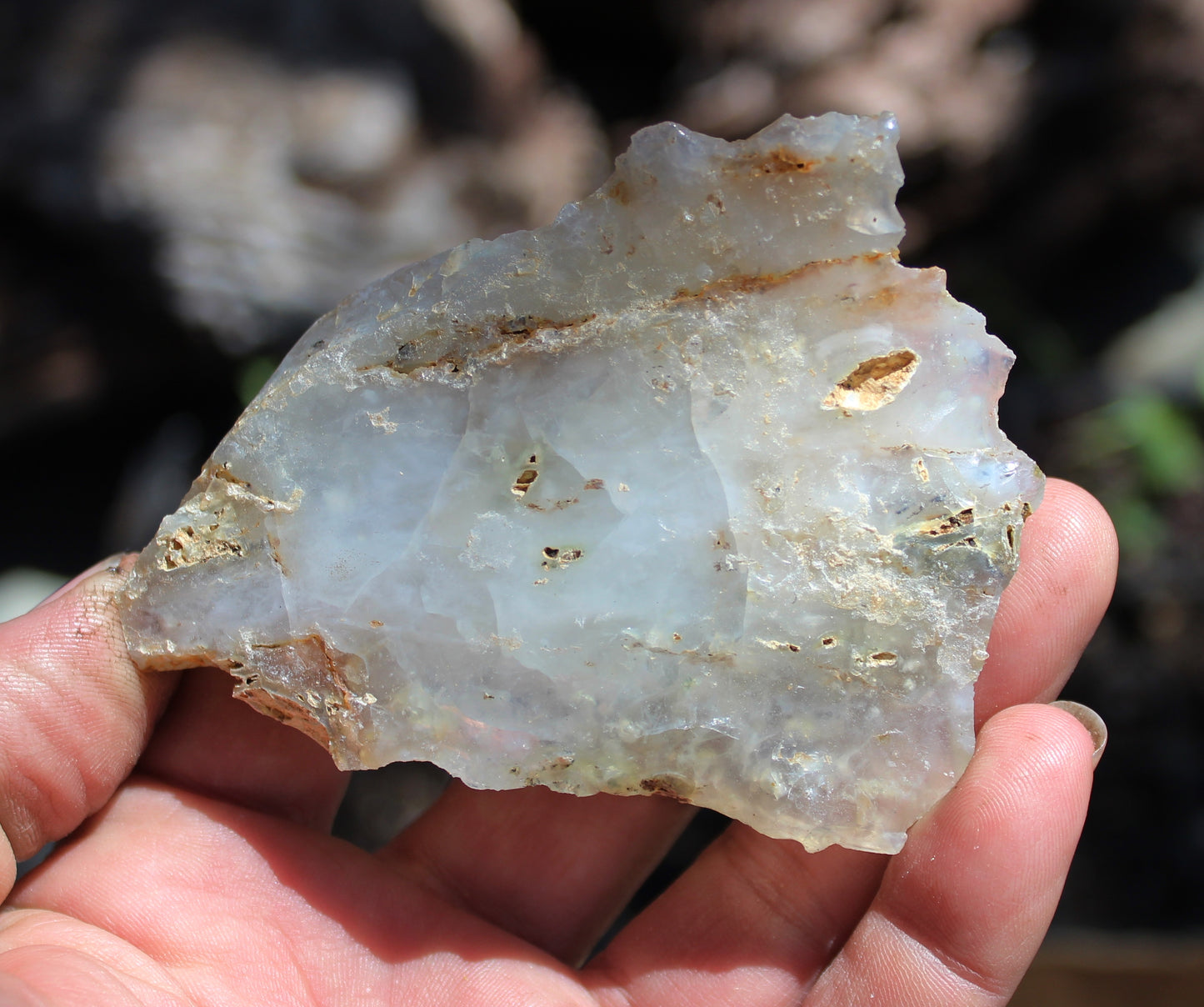 Mount Shasta Opal High Grade