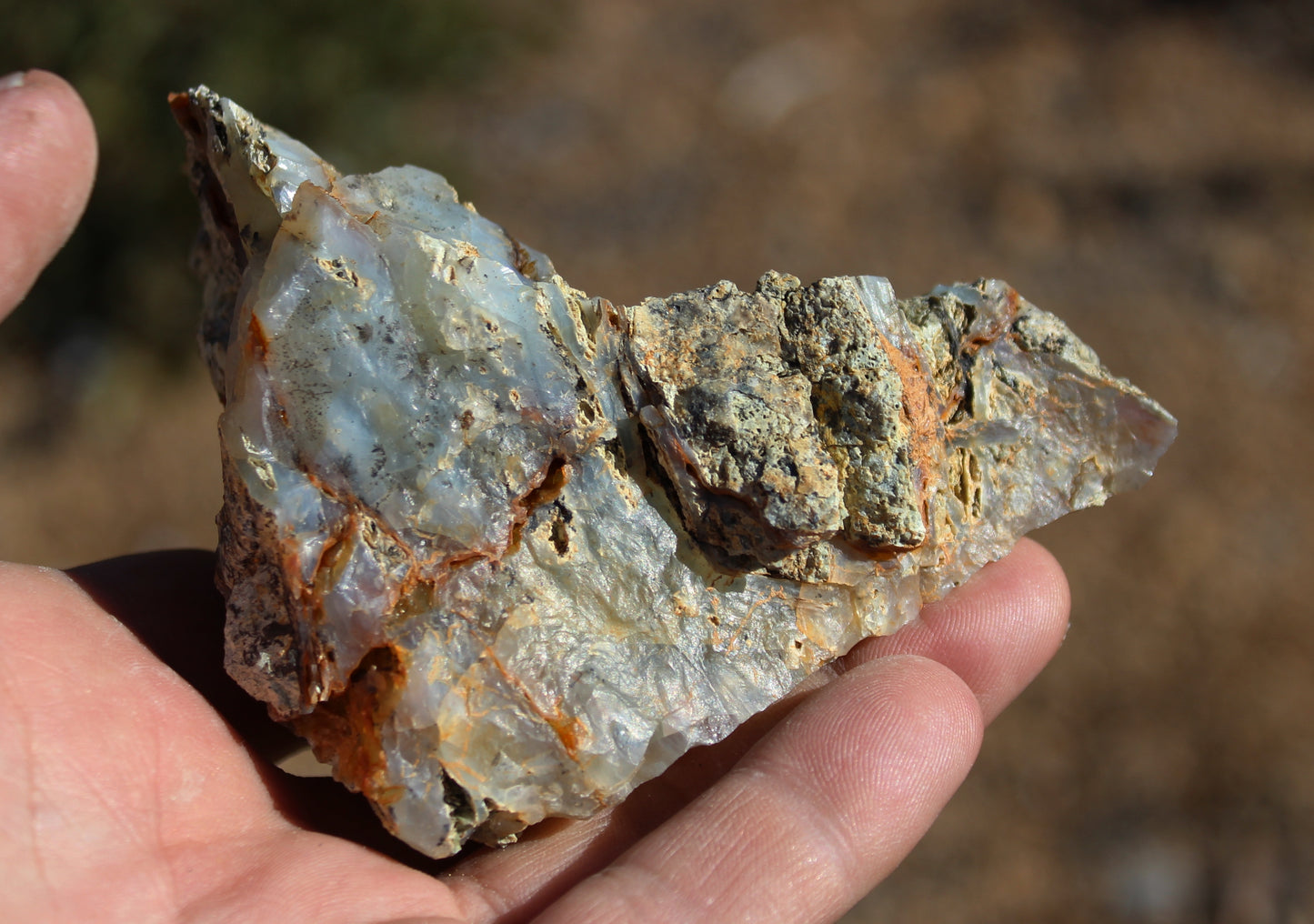 Mount Shasta Opal High Grade Specimen