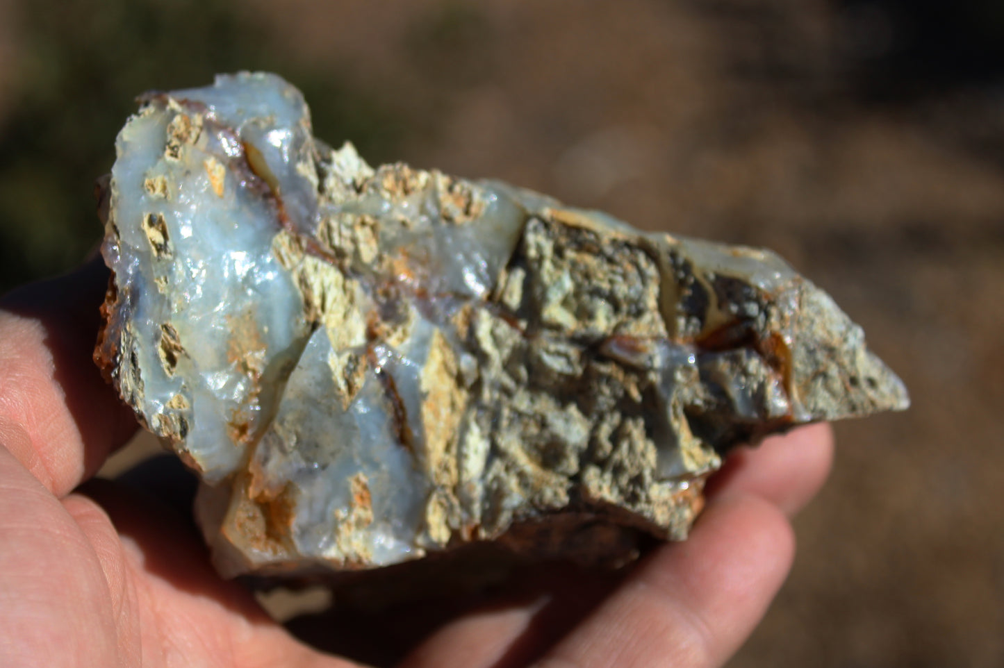 Mount Shasta Opal High Grade Specimen