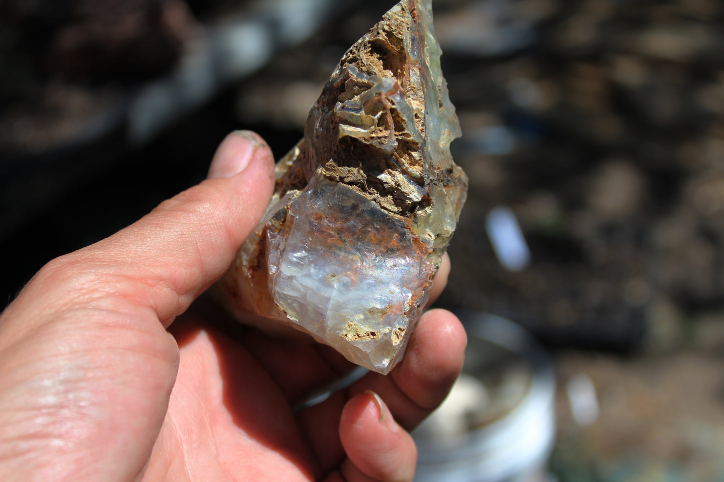 Mount Shasta Opal High Grade