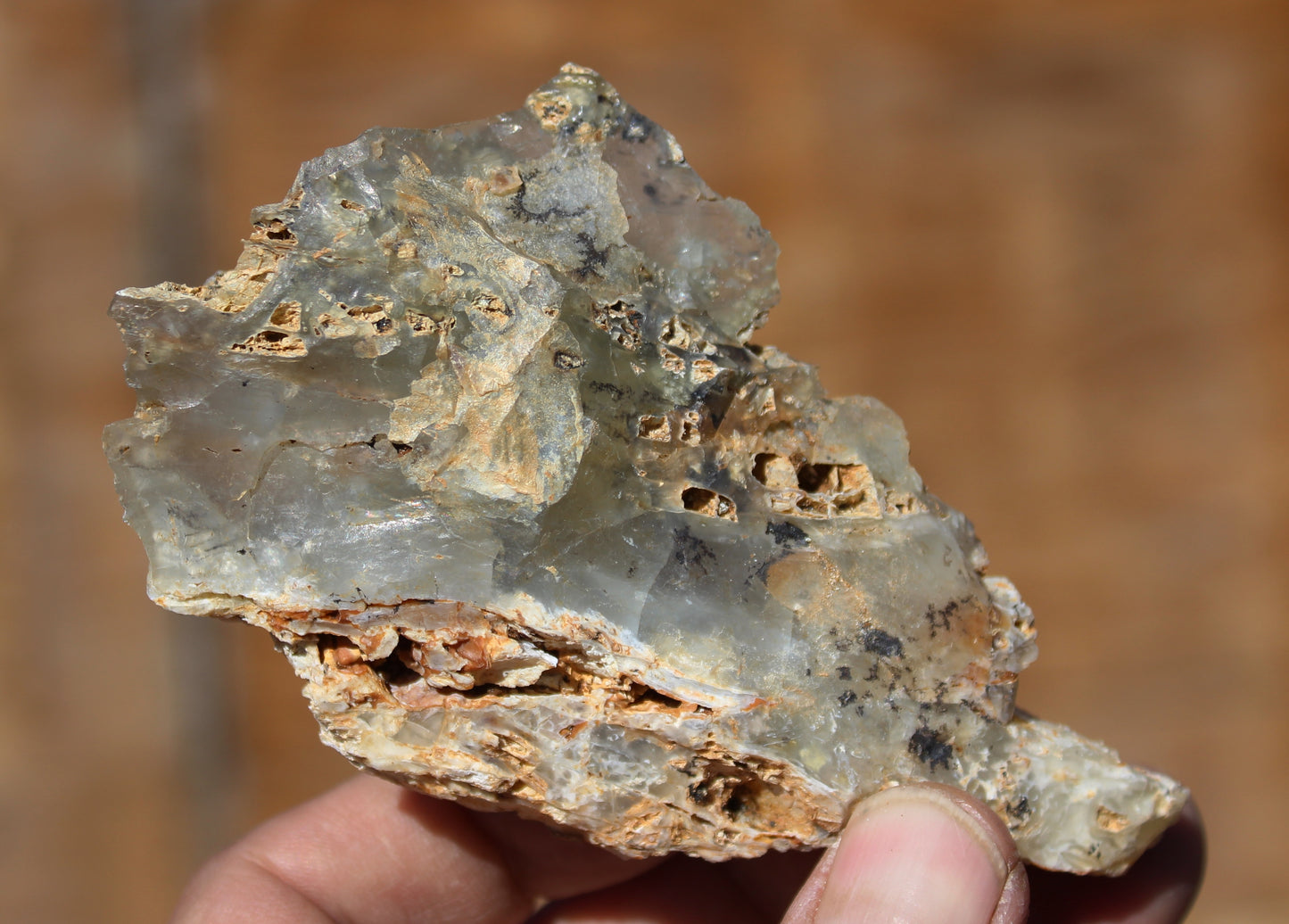 Mount Shasta Opal High Grade Specimen
