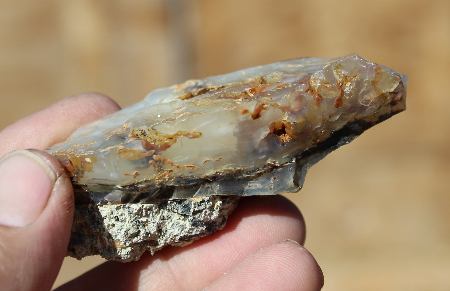 Mount Shasta Opal High Grade