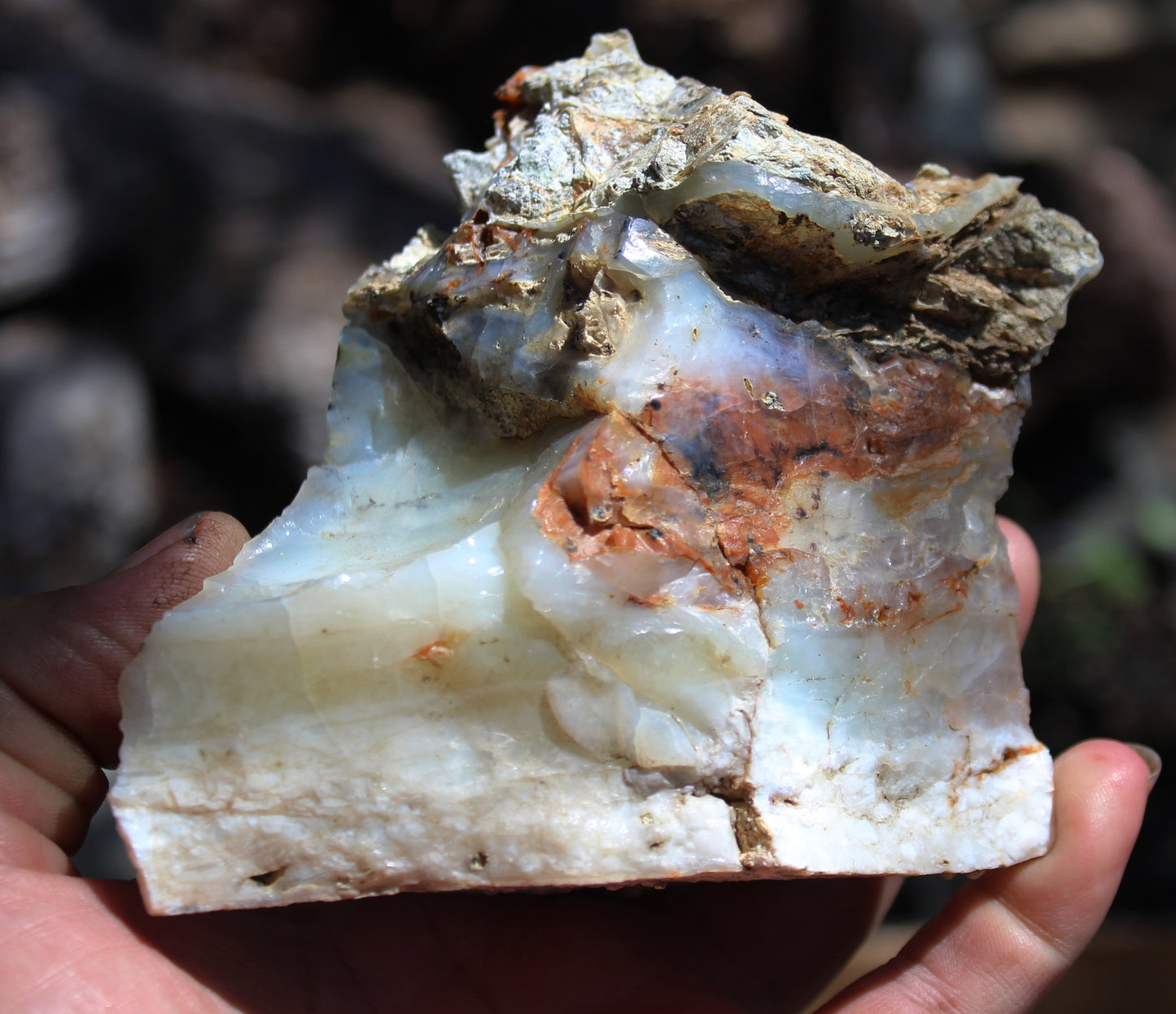 Mount Shasta Opal High Grade