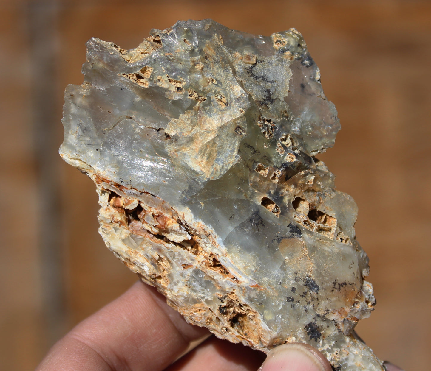 Mount Shasta Opal High Grade Specimen