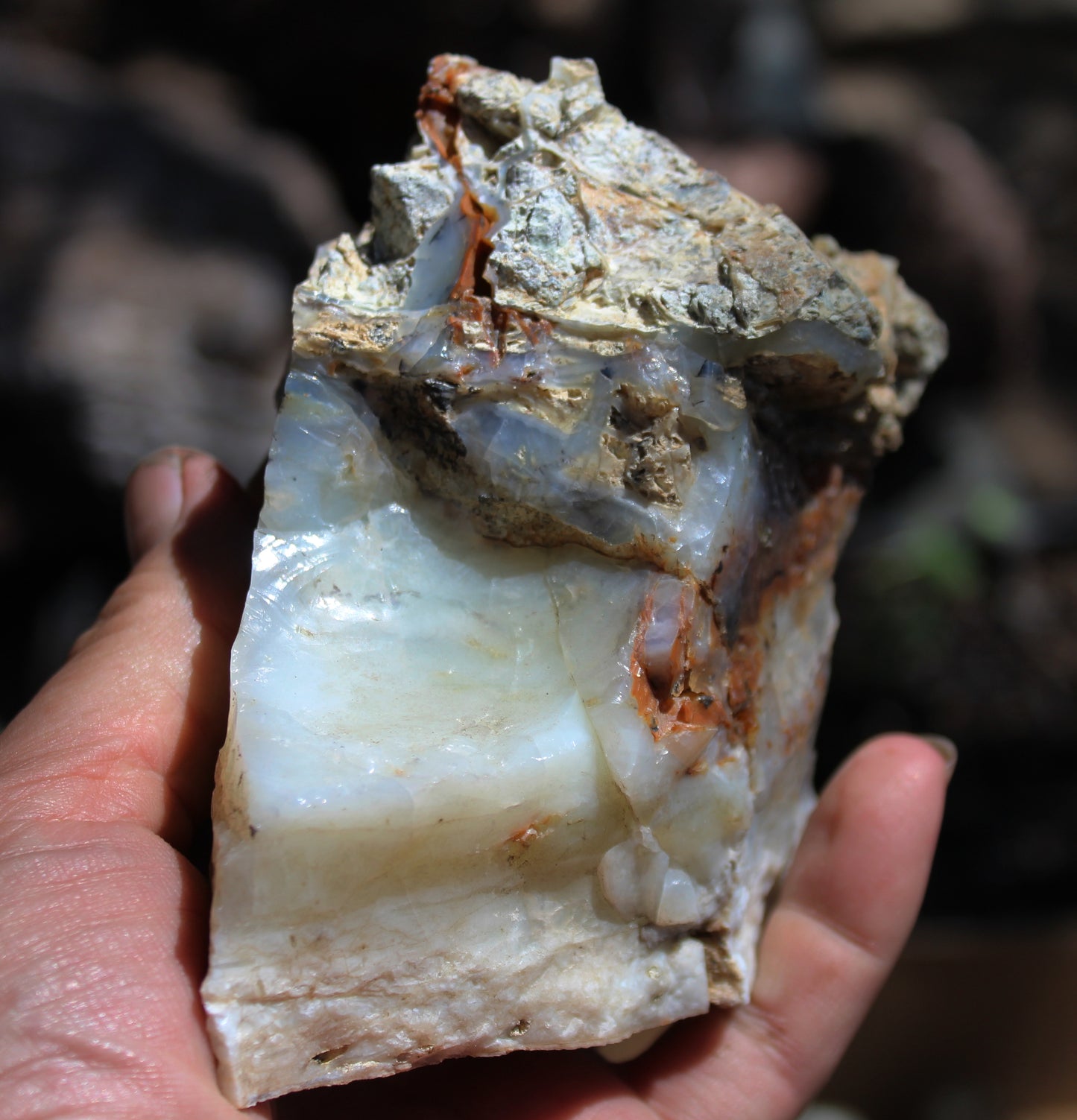 Mount Shasta Opal High Grade