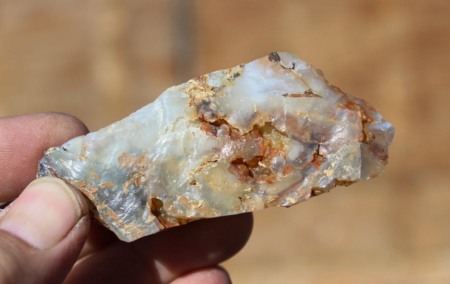Mount Shasta Opal High Grade