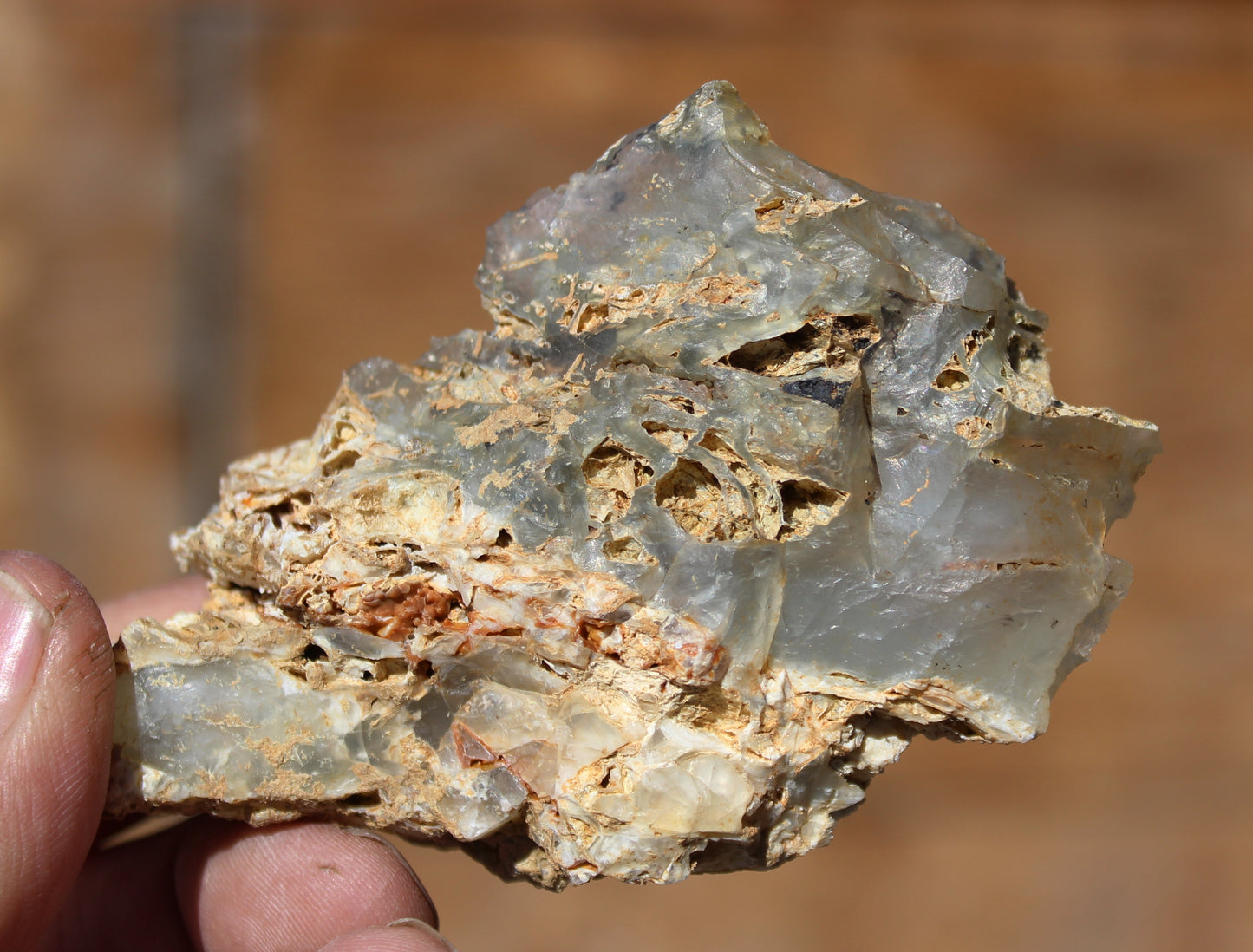 Mount Shasta Opal High Grade Specimen