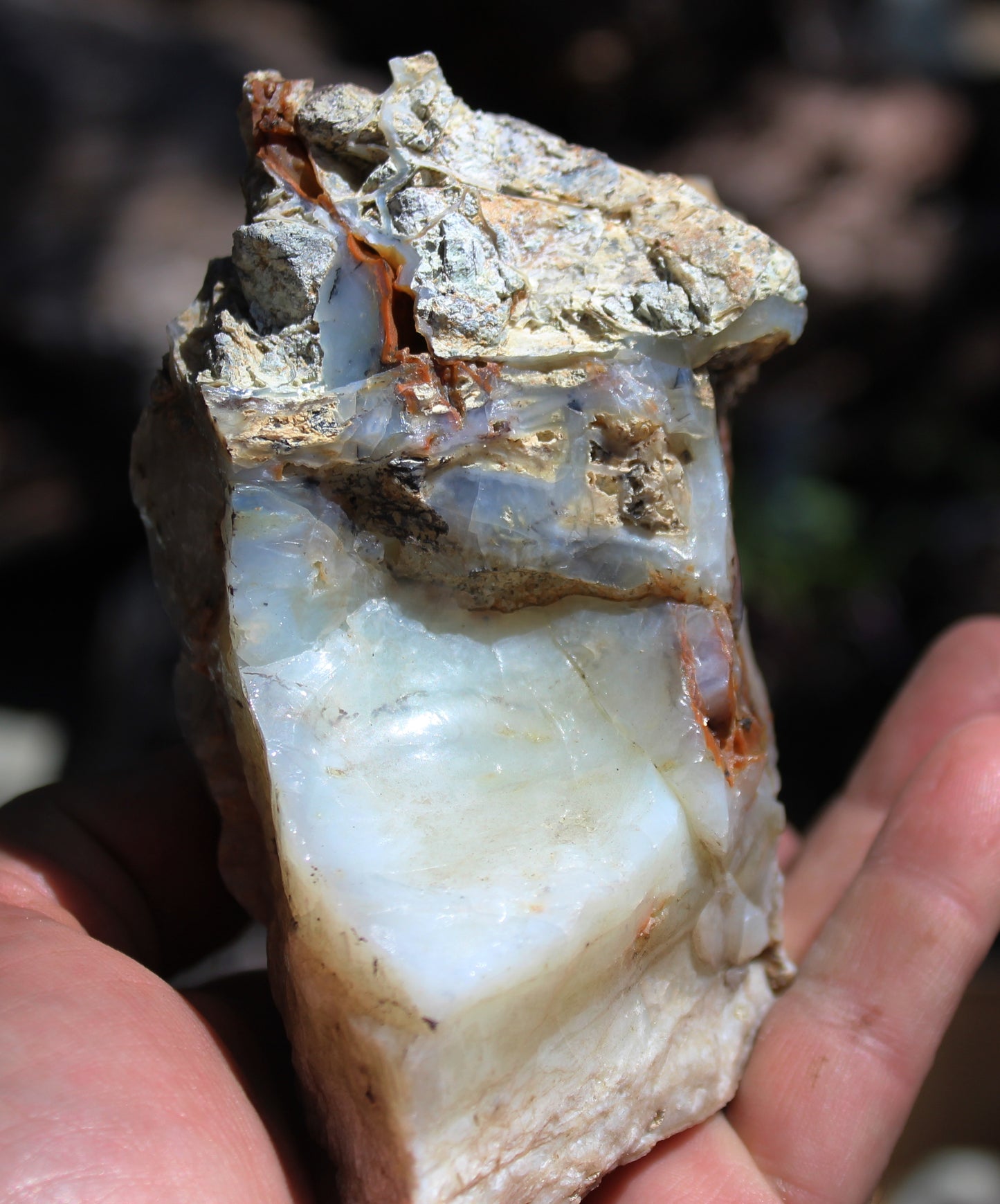 Mount Shasta Opal High Grade