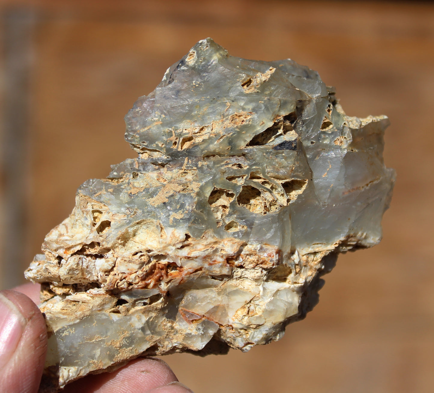 Mount Shasta Opal High Grade Specimen