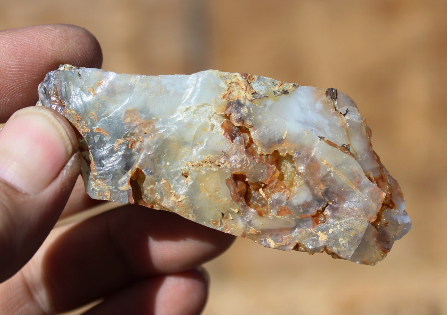 Mount Shasta Opal High Grade