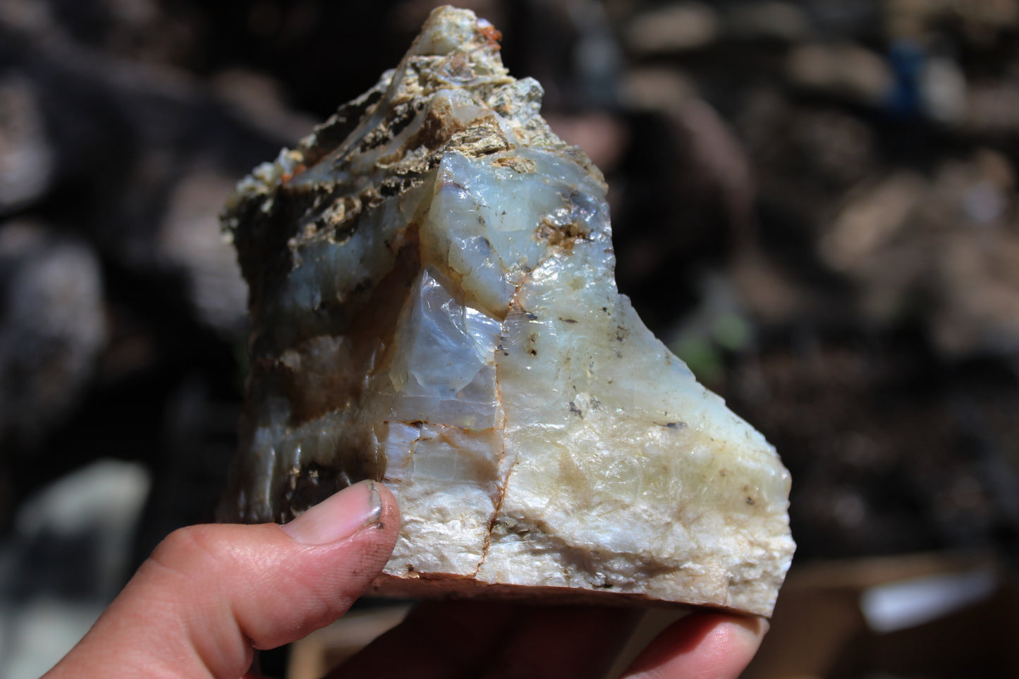 Mount Shasta Opal High Grade