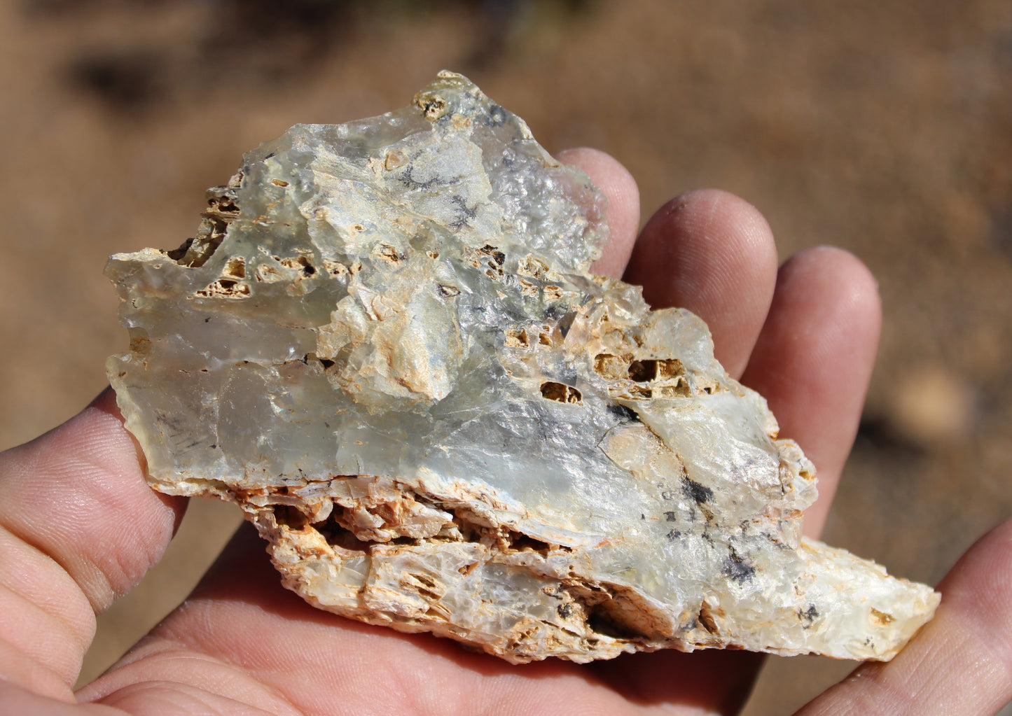Mount Shasta Opal High Grade Specimen