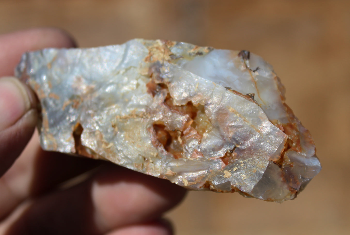 Mount Shasta Opal High Grade