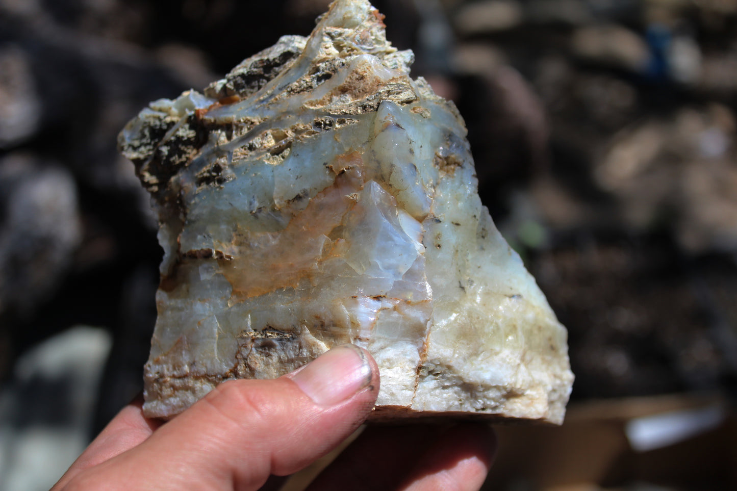 Mount Shasta Opal High Grade