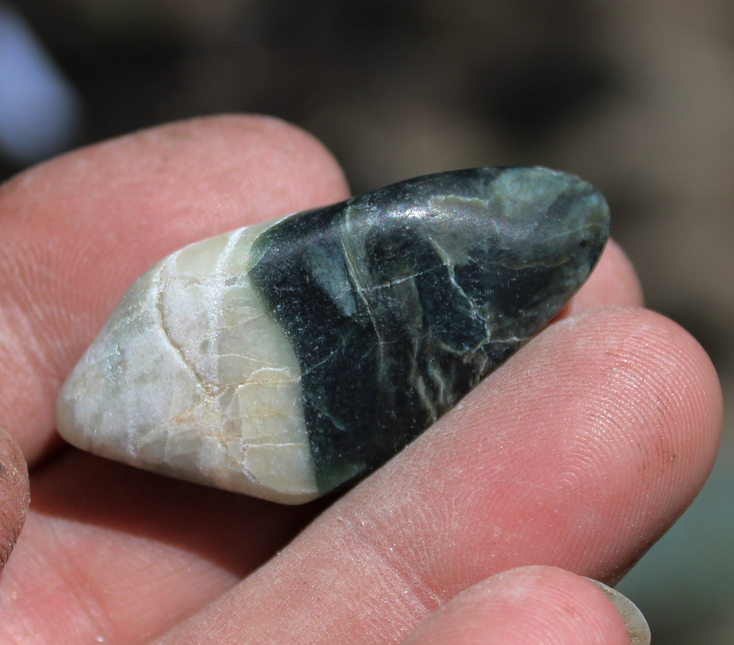 Mount Shasta Vortex Stone