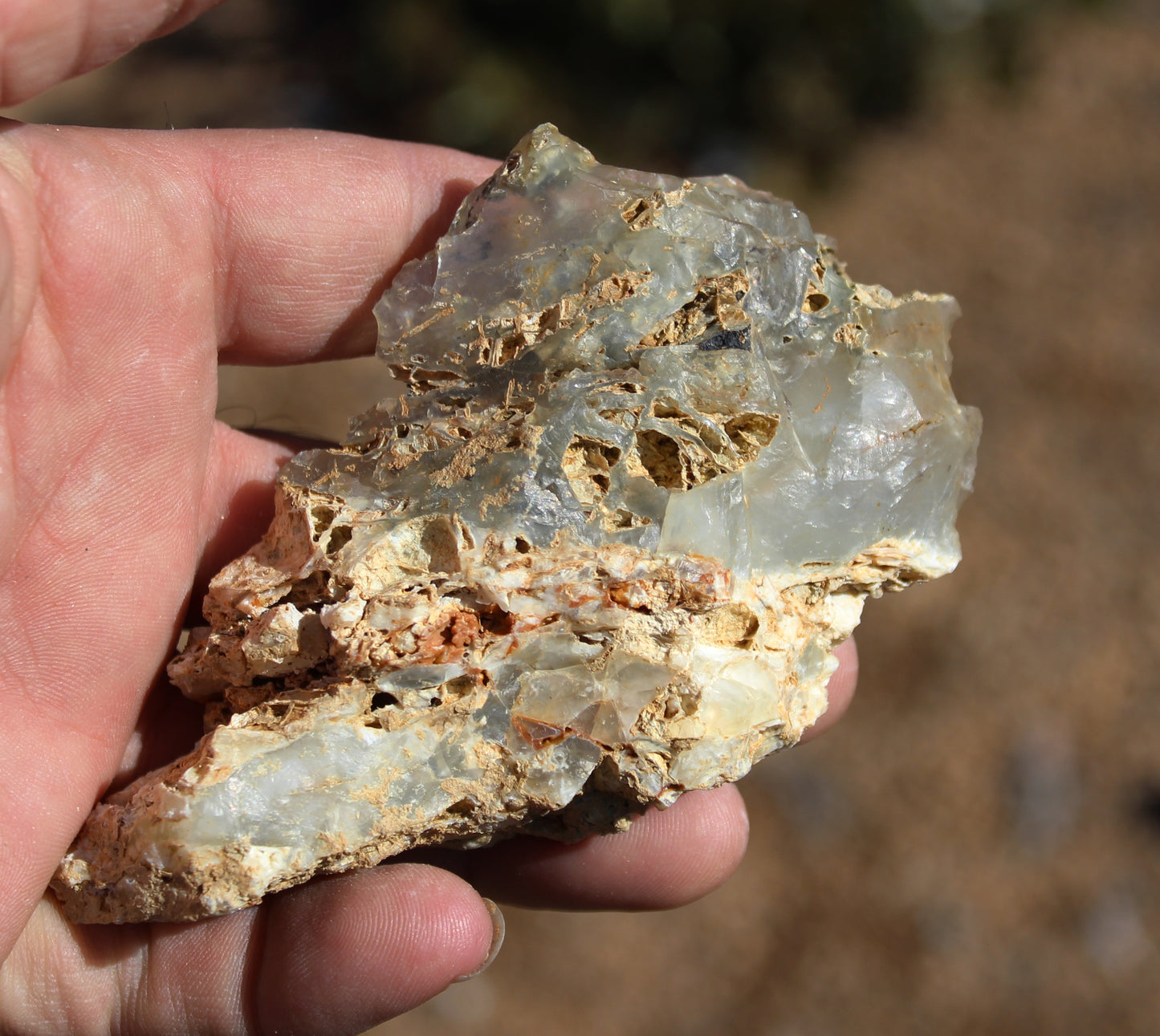 Mount Shasta Opal High Grade Specimen