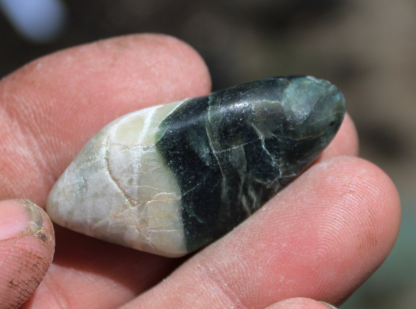 Mount Shasta Vortex Stone
