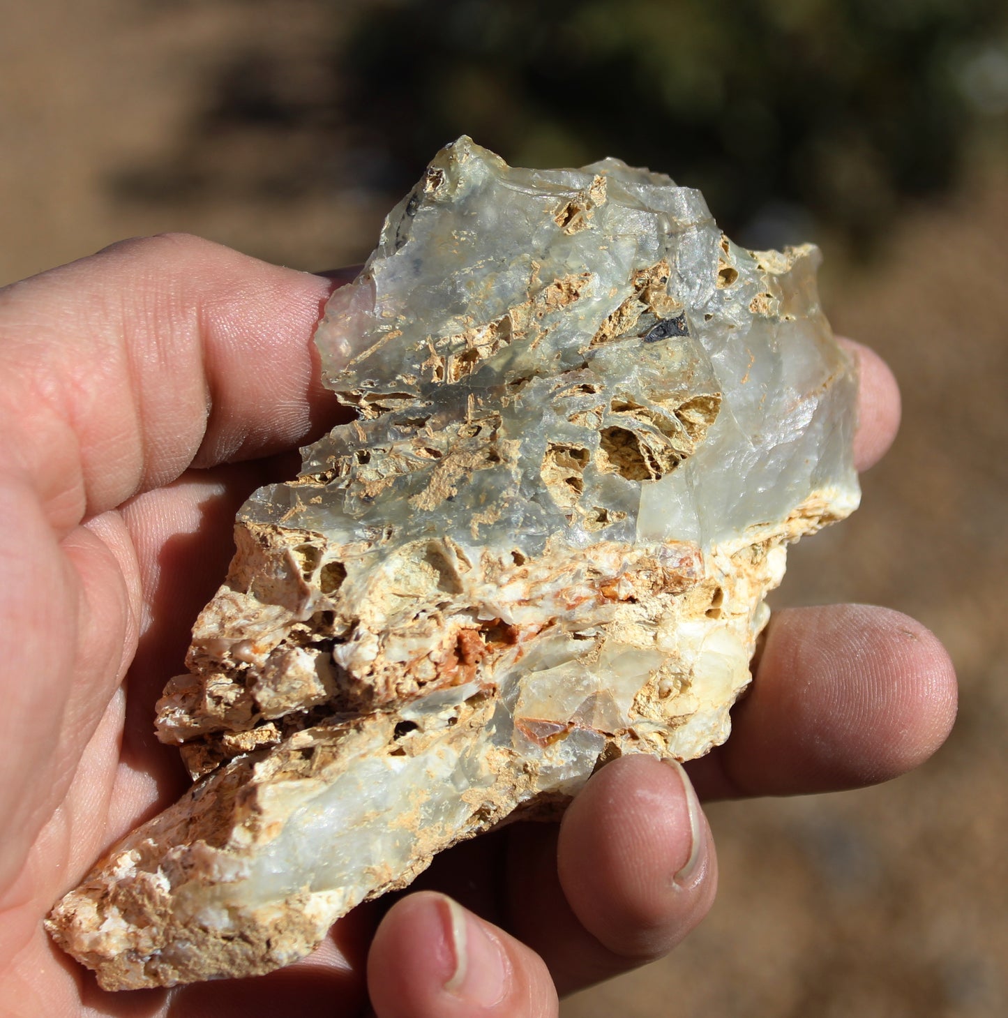 Mount Shasta Opal High Grade Specimen