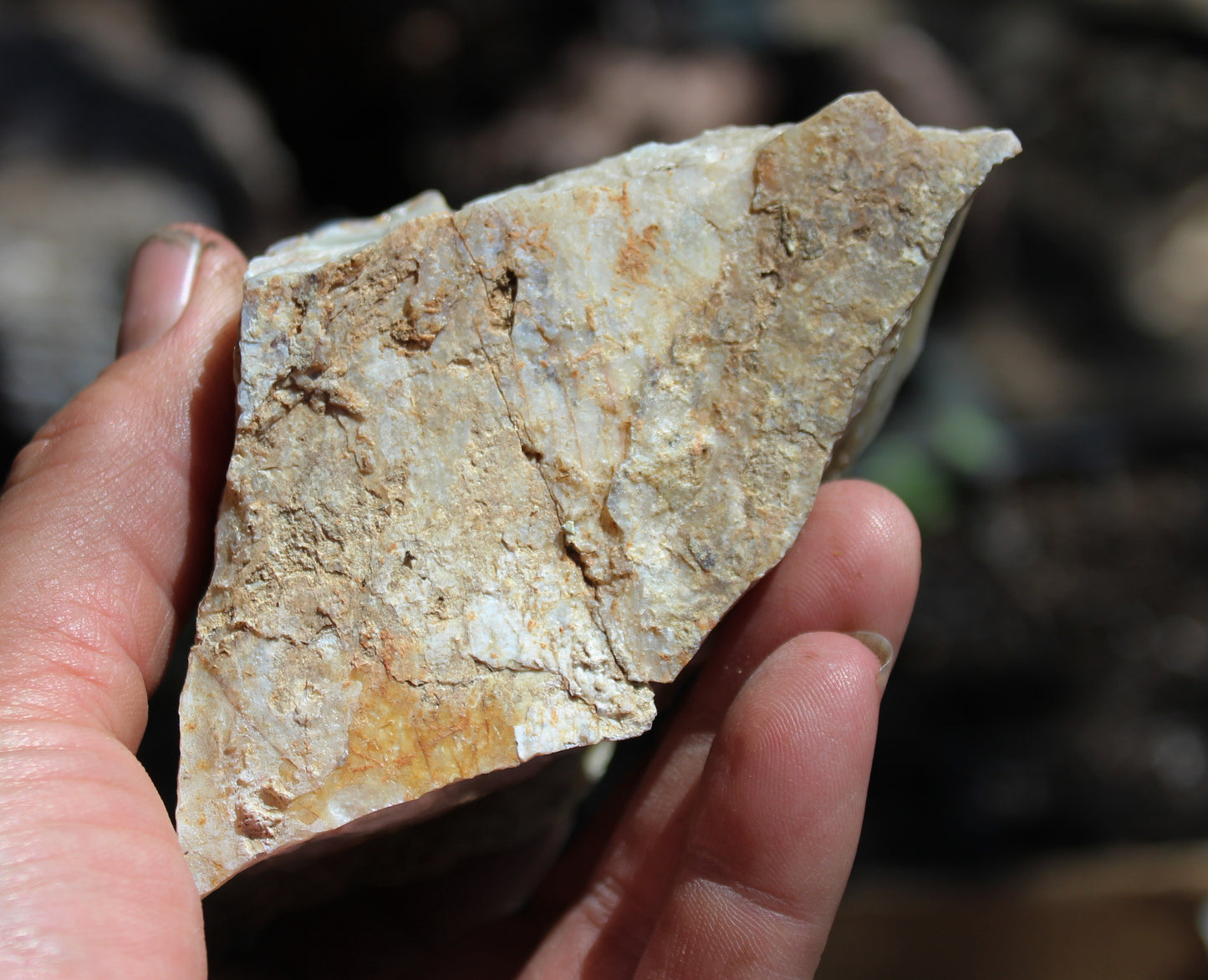 Mount Shasta Opal High Grade