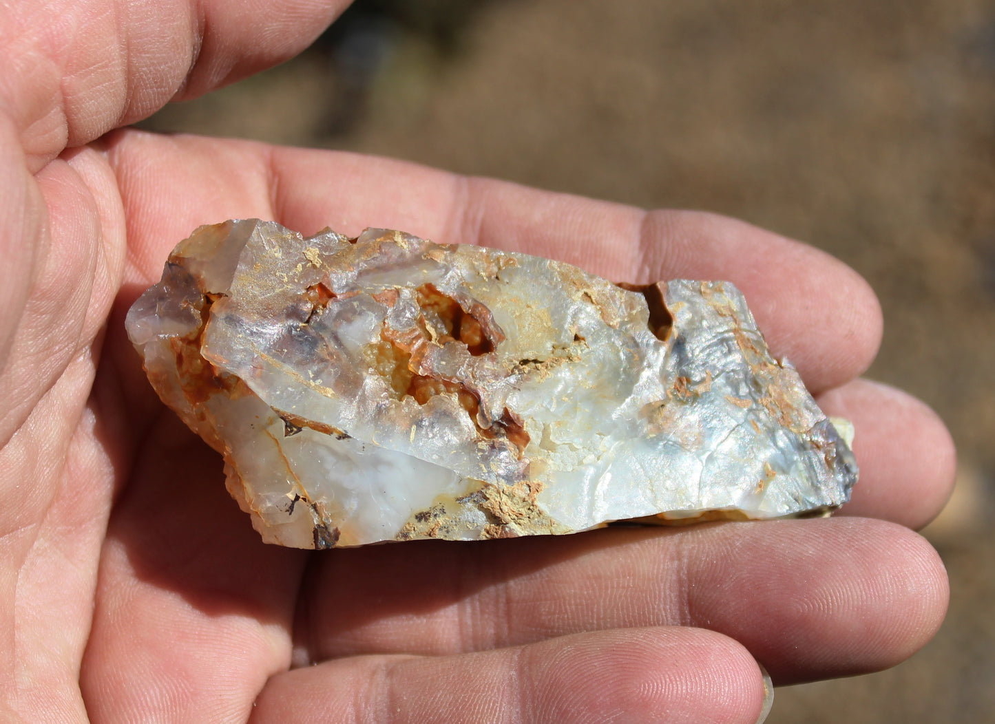 Mount Shasta Opal High Grade