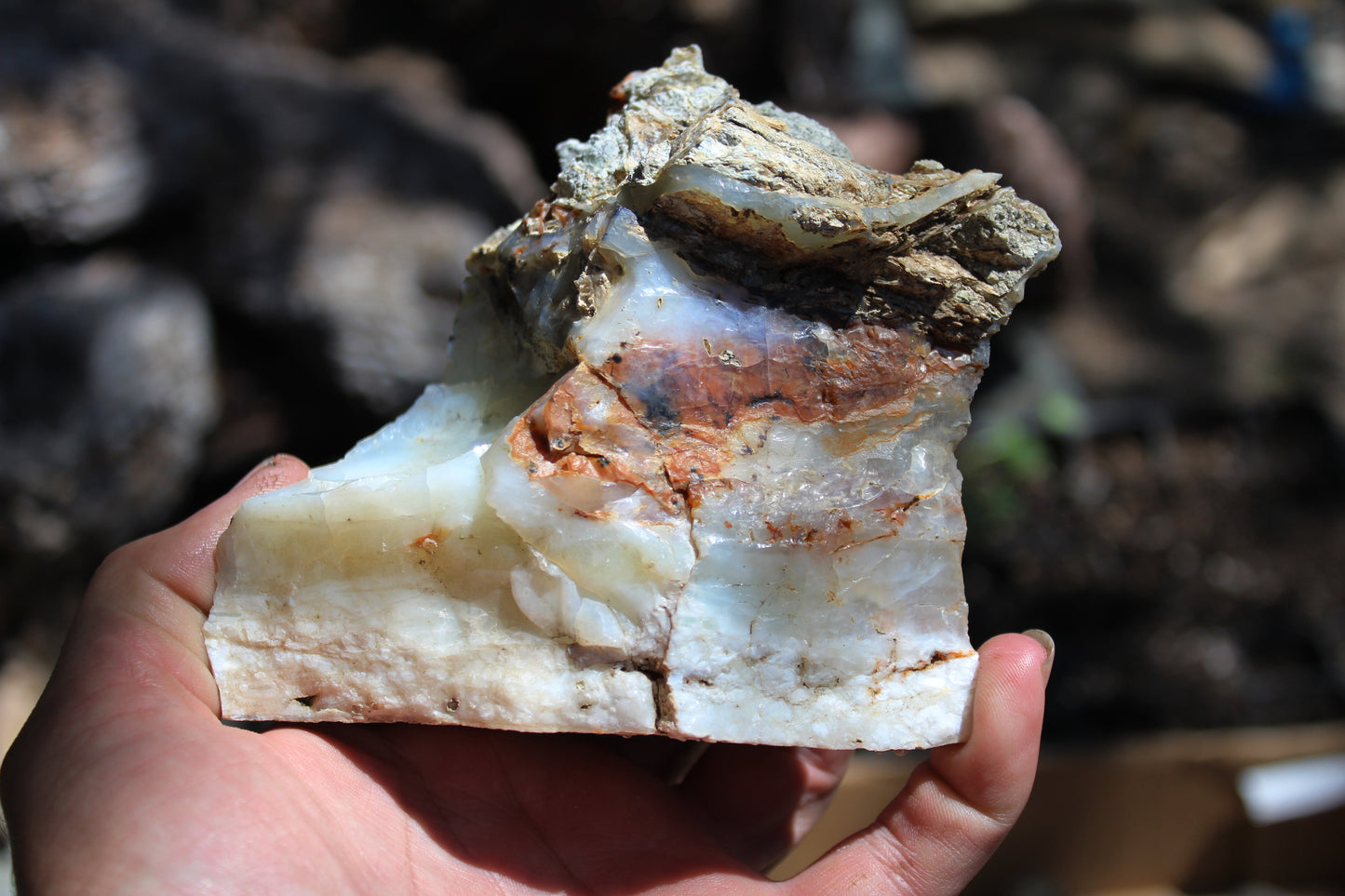 Mount Shasta Opal High Grade