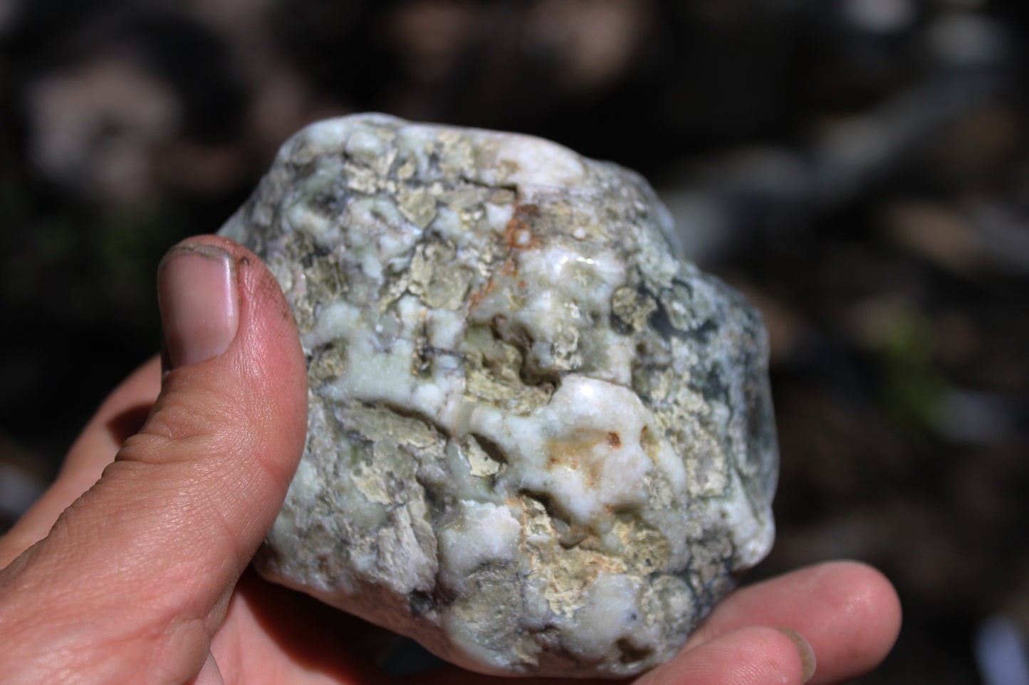 Mount Shasta Vortex Stone