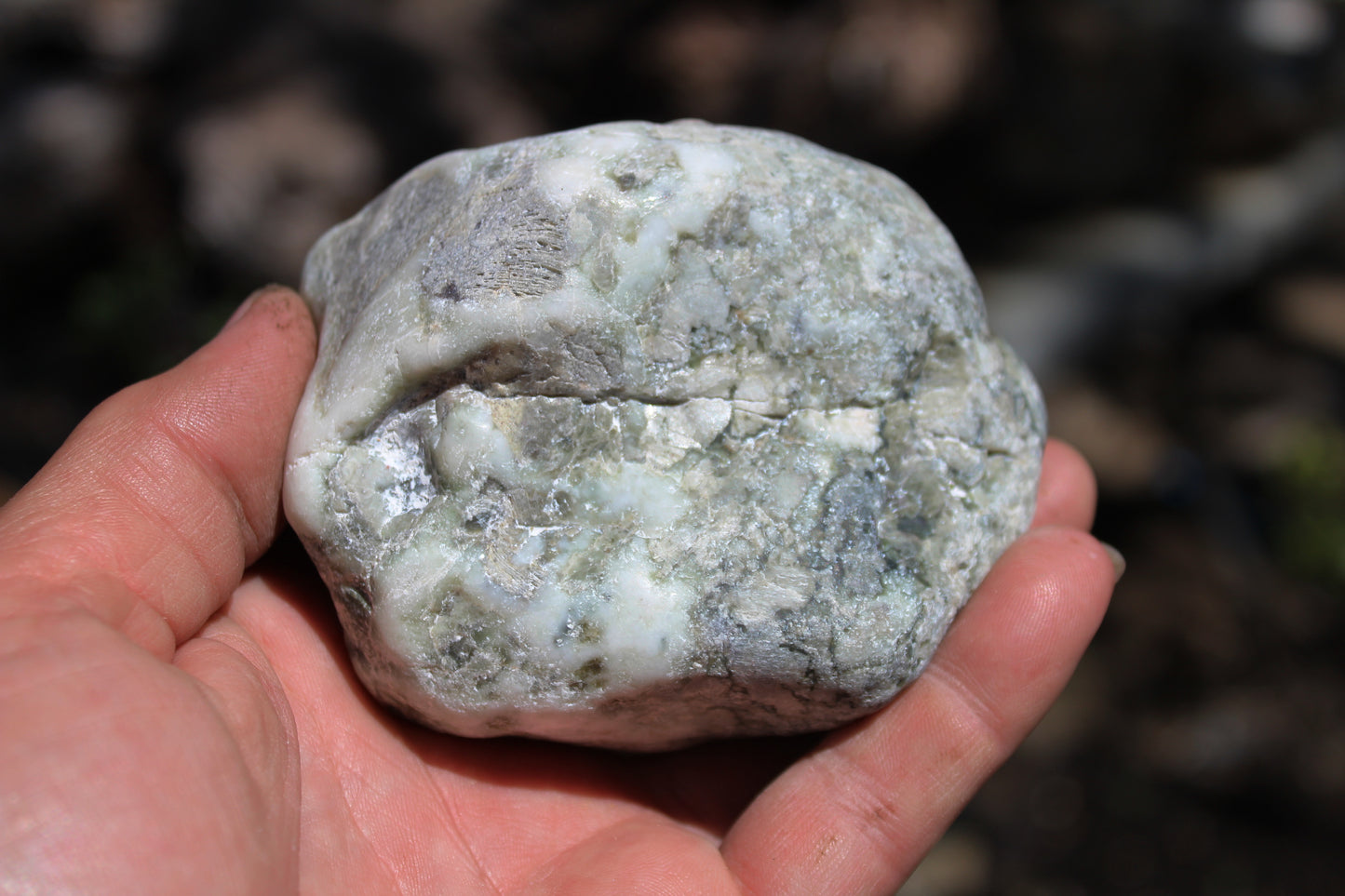 Mount Shasta Vortex Stone
