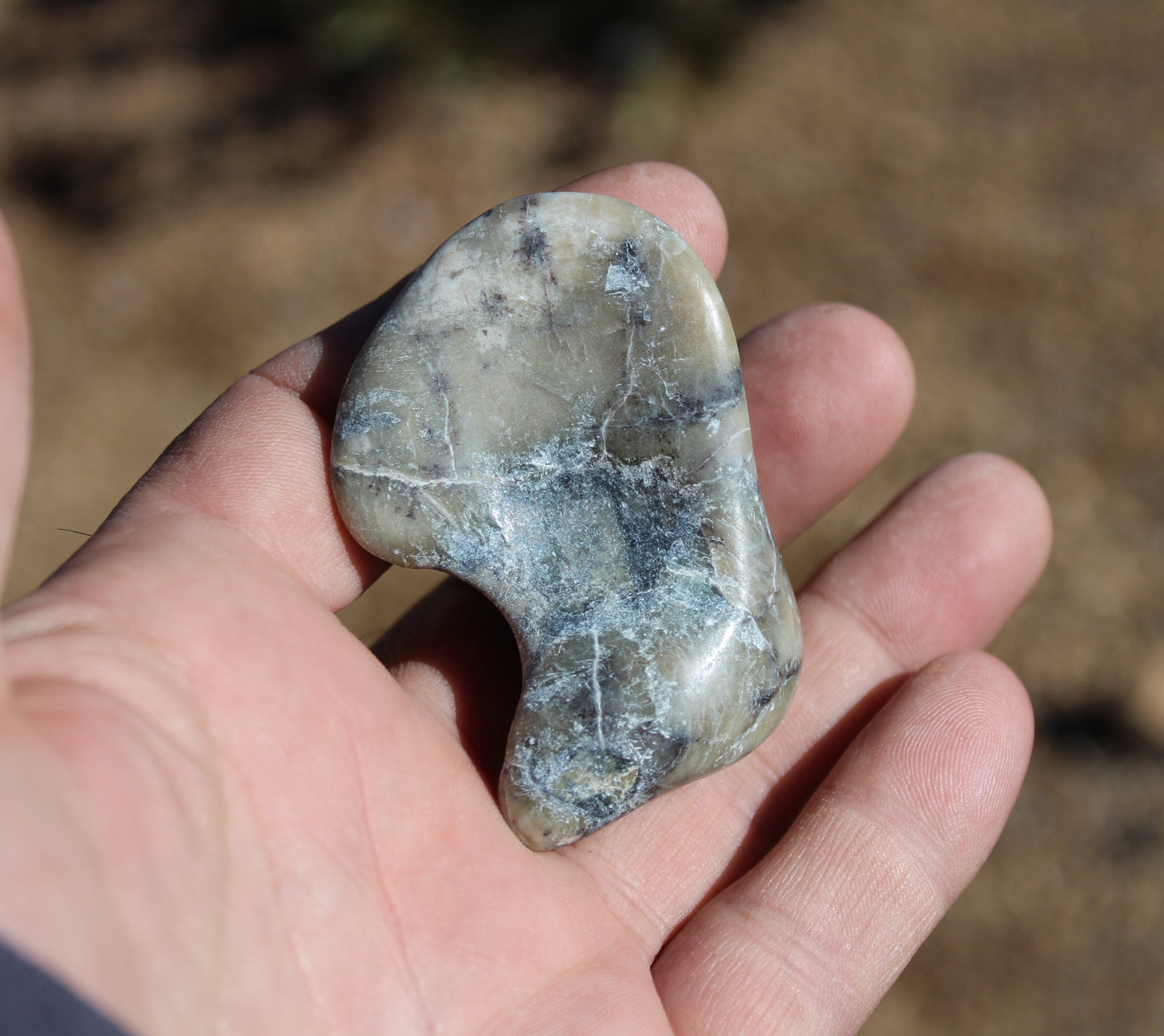 Mount Shasta Vortex Stone