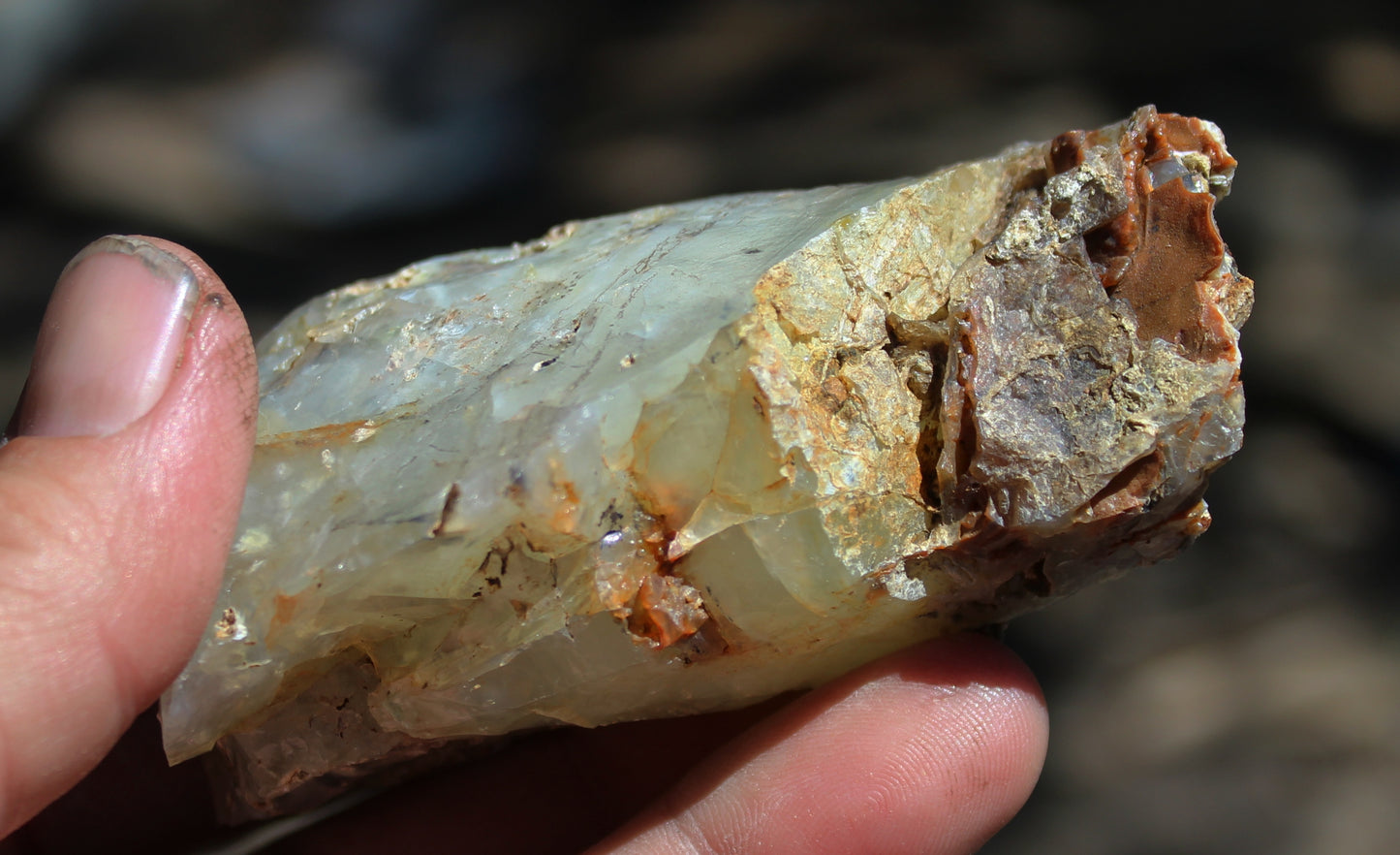 Mount Shasta Opal High Grade