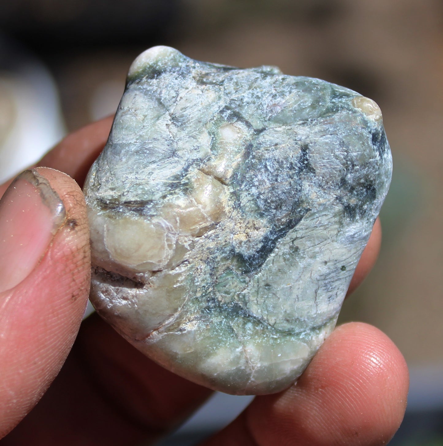 Mount Shasta Vortex Stone