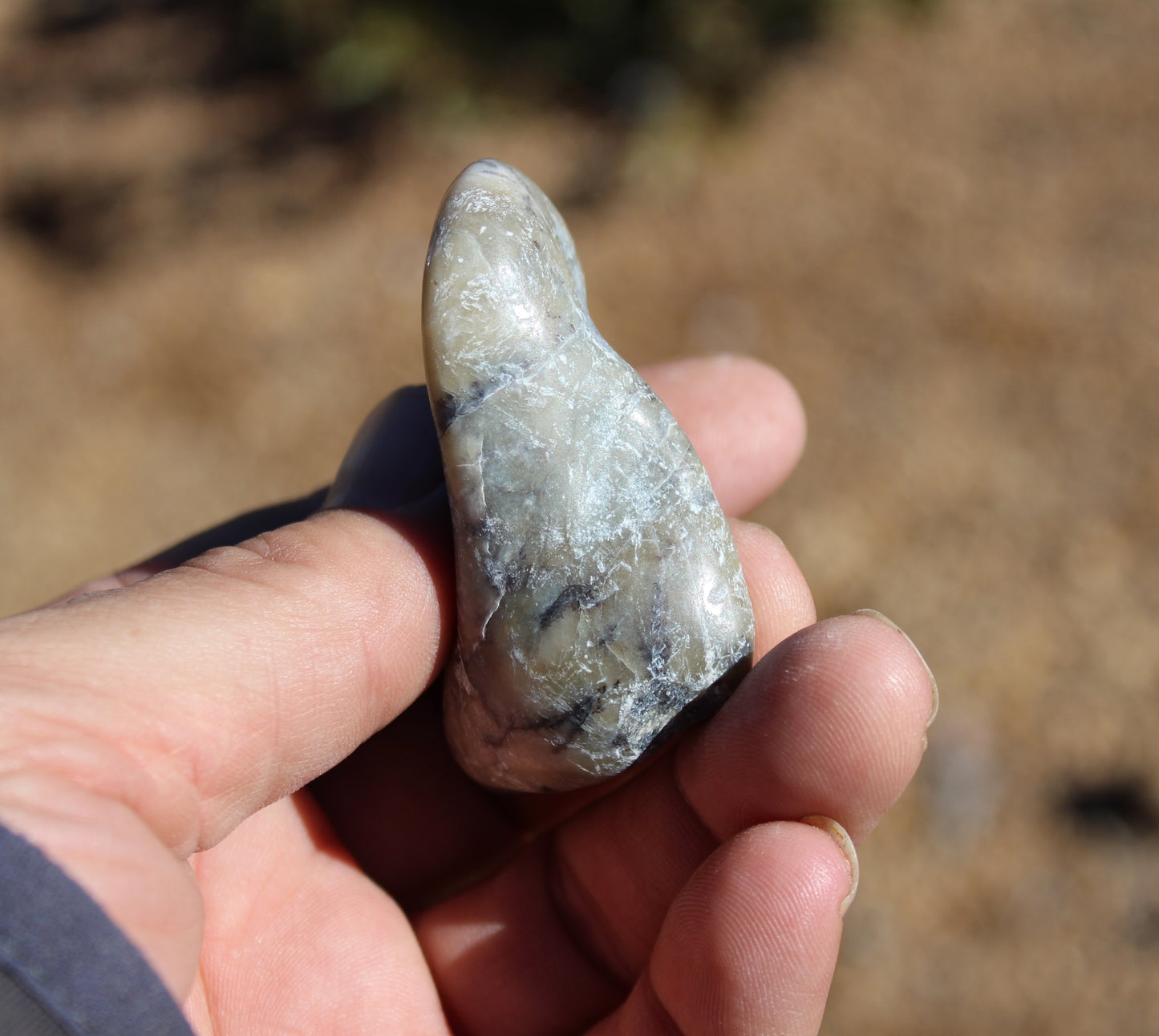 Mount Shasta Vortex Stone