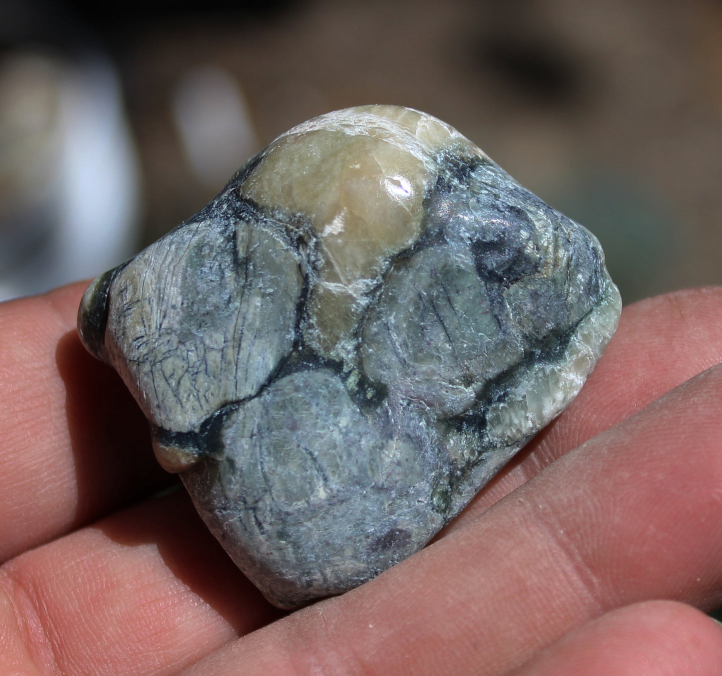Mount Shasta Vortex Stone