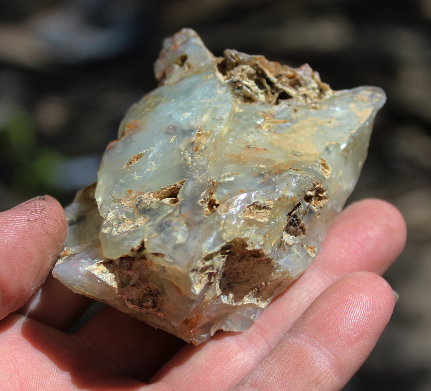 Mount Shasta Opal High Grade