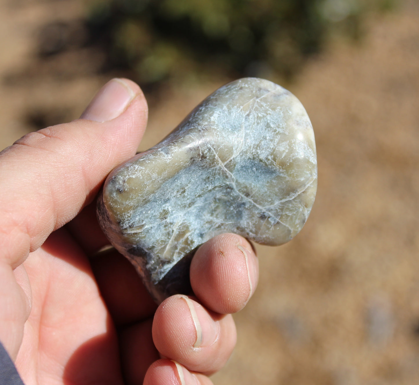 Mount Shasta Vortex Stone