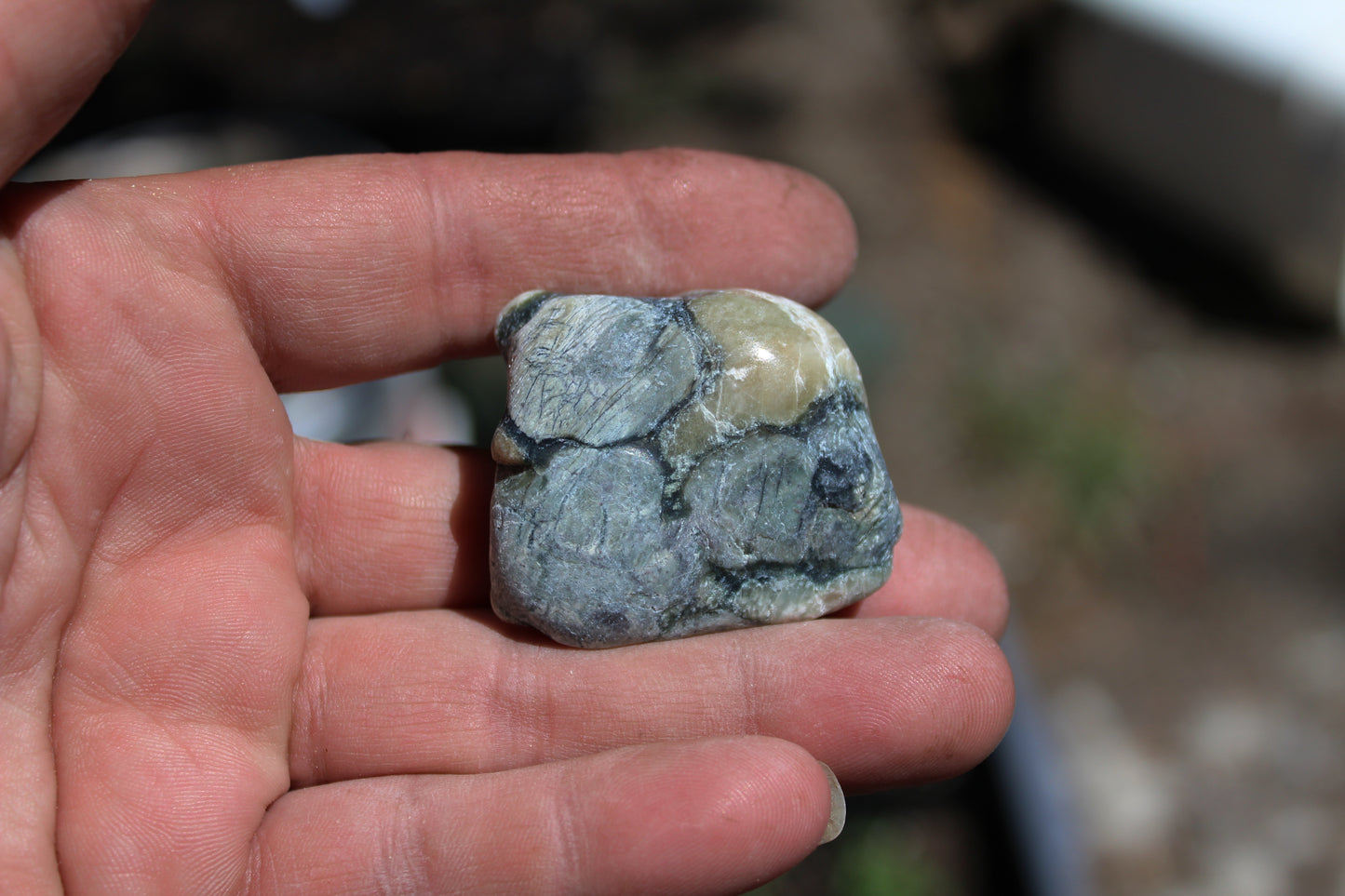 Mount Shasta Vortex Stone