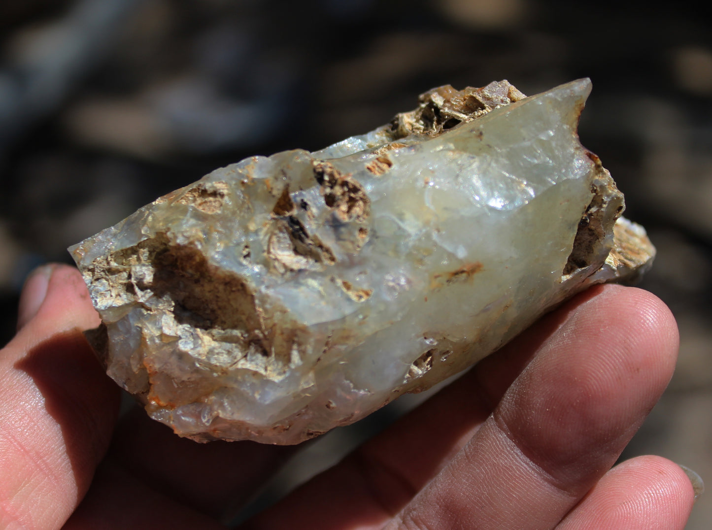 Mount Shasta Opal High Grade
