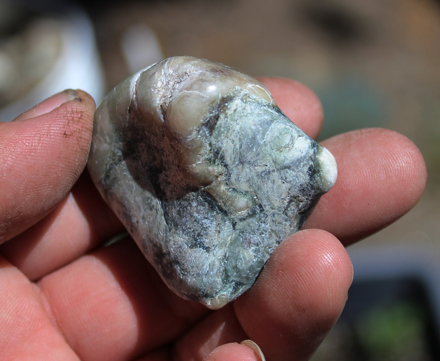 Mount Shasta Vortex Stone