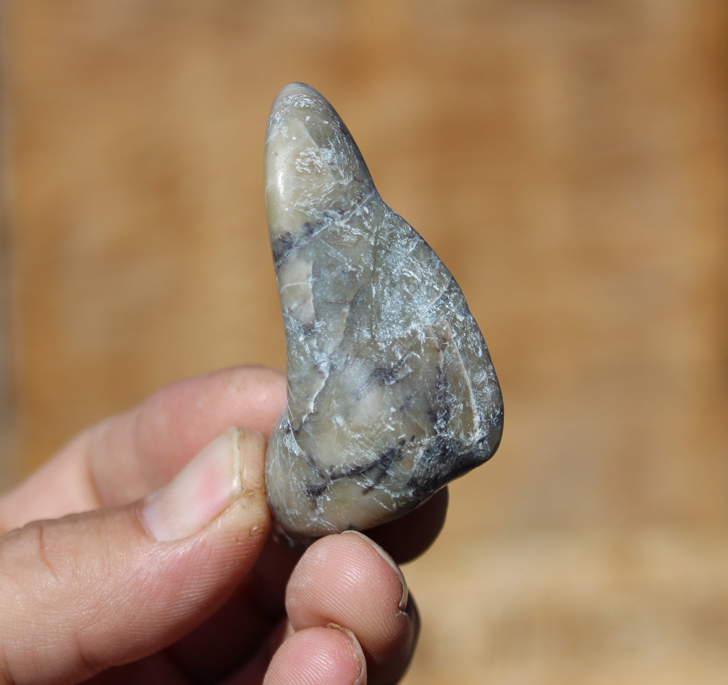 Mount Shasta Vortex Stone