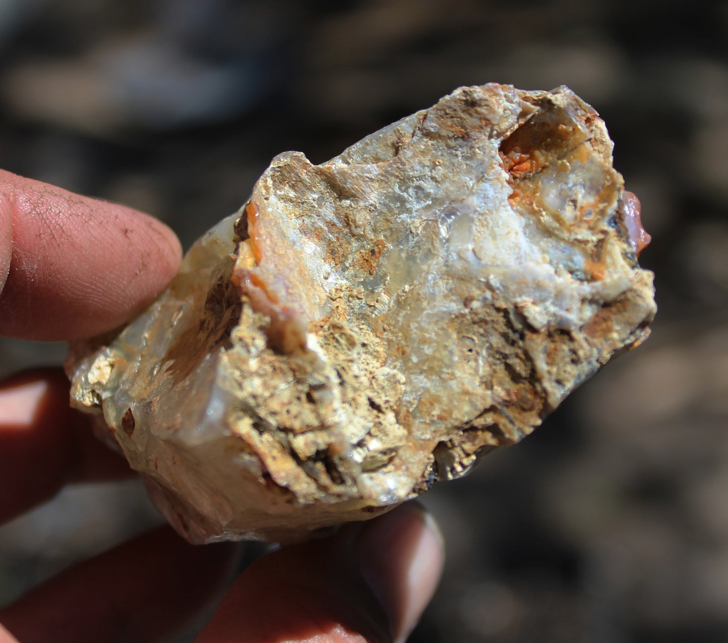 Mount Shasta Opal High Grade