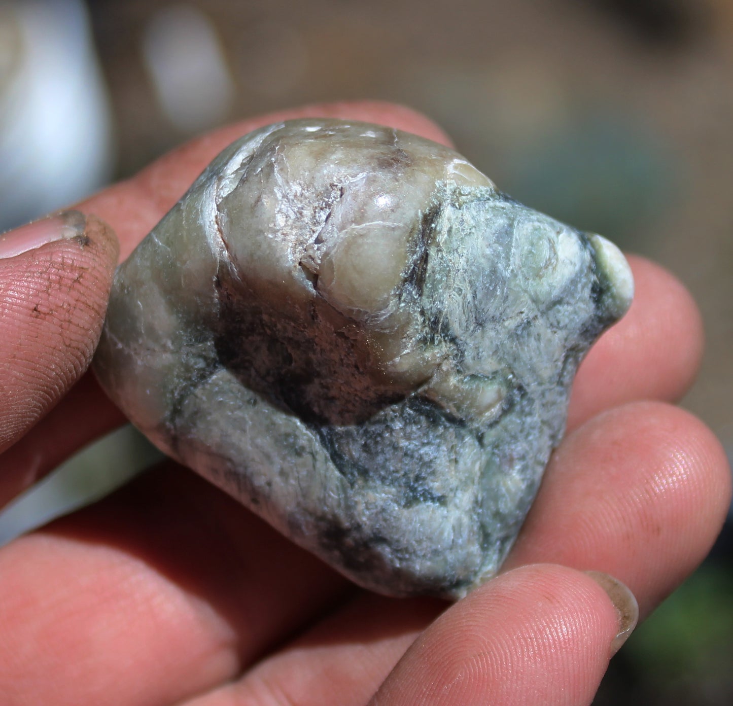 Mount Shasta Vortex Stone