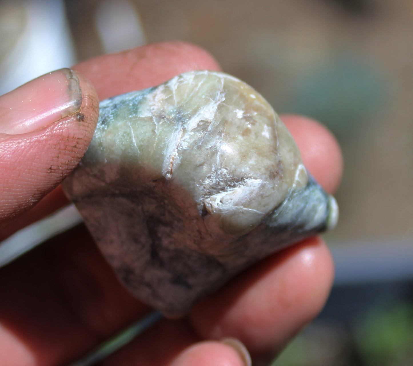 Mount Shasta Vortex Stone