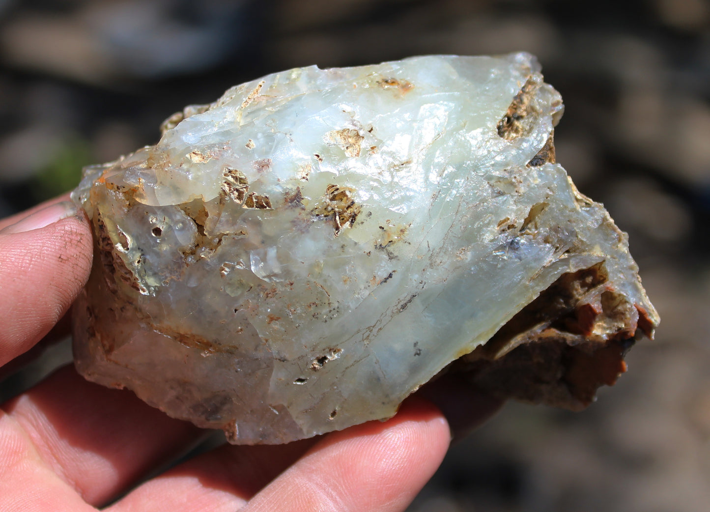 Mount Shasta Opal High Grade