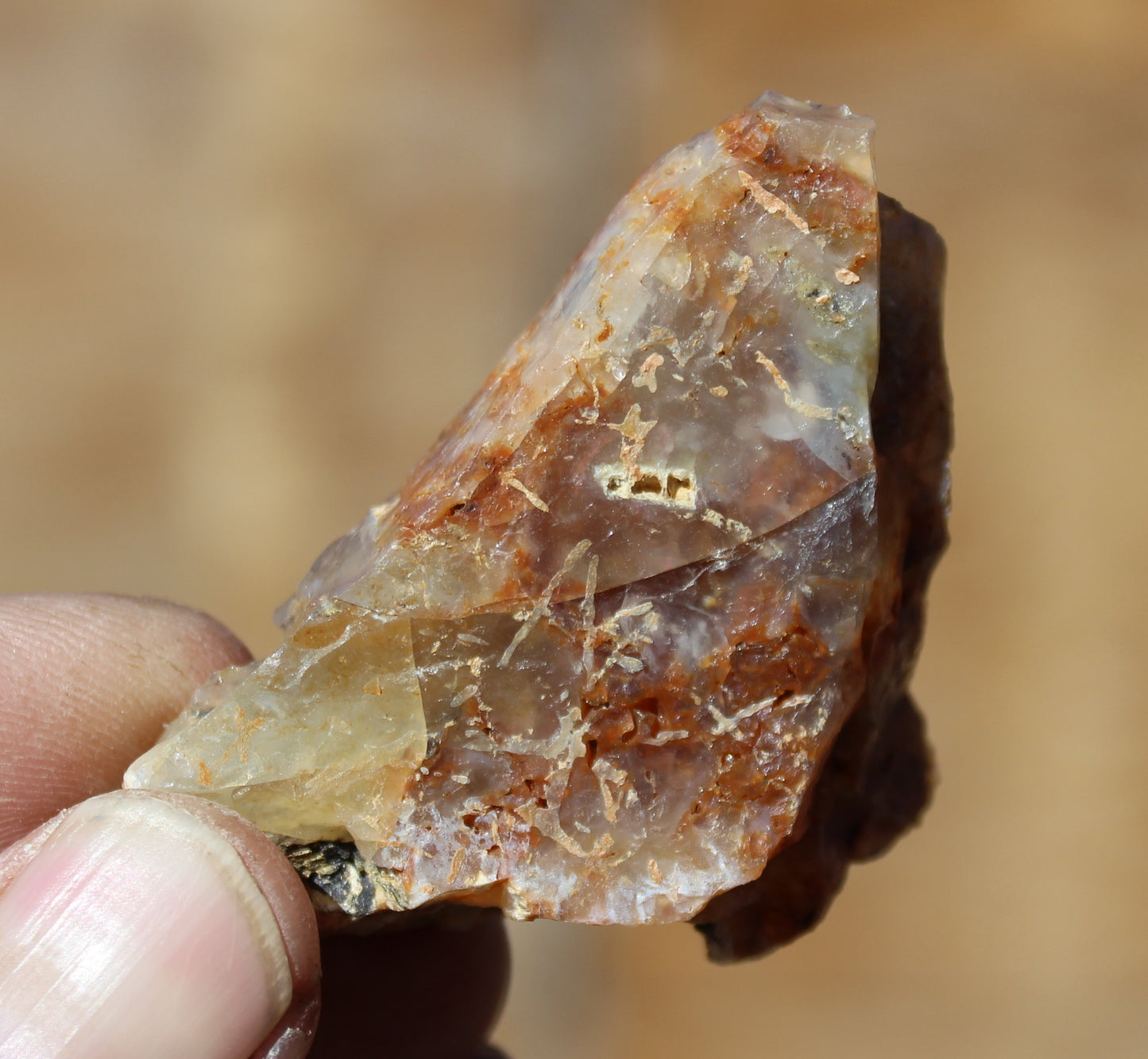 Mount Shasta Opal High Grade