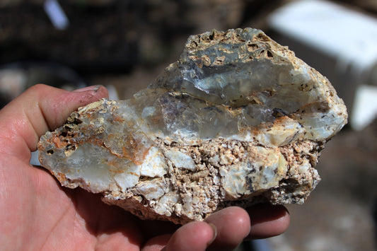 Mount Shasta Opal High Grade