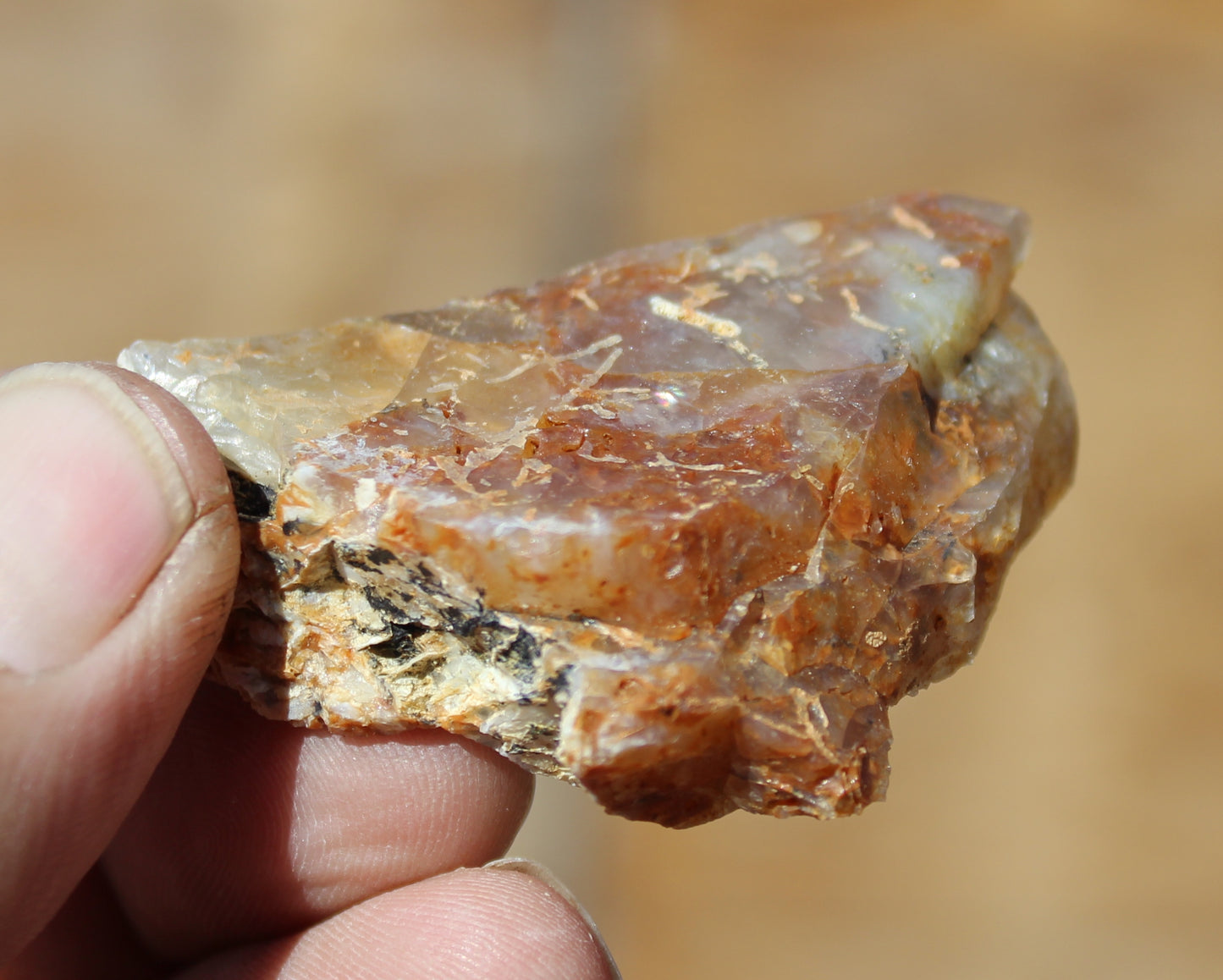 Mount Shasta Opal High Grade