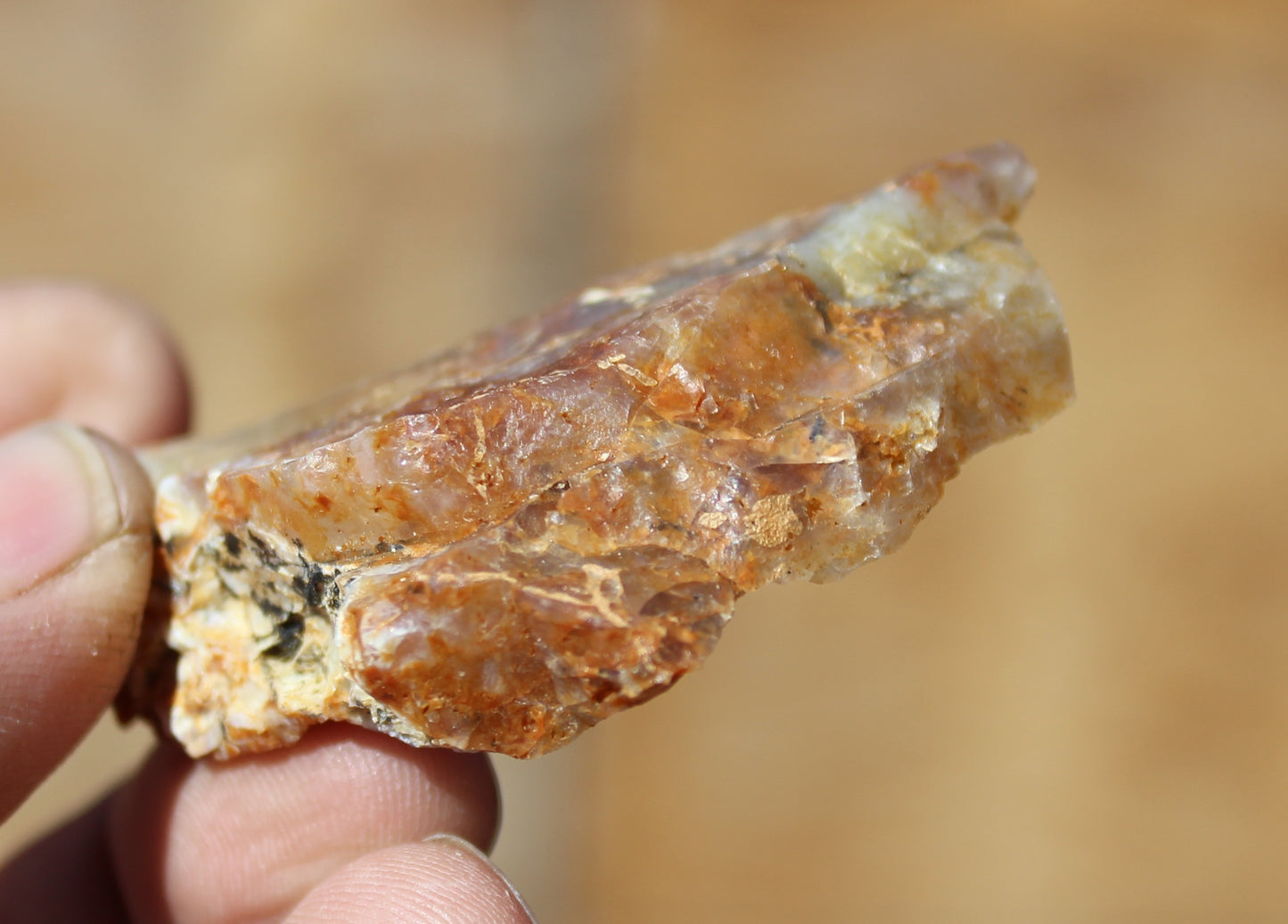 Mount Shasta Opal High Grade