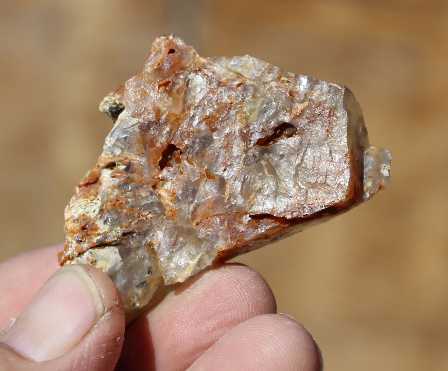 Mount Shasta Opal High Grade